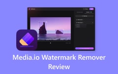 Media Io Watermark Remover Review