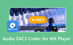 Audio EAC3 Codec for MX Player