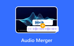 Audio Merger Review