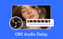 OBS Audio Delay