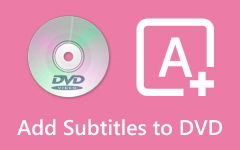 Add Subtitles To DVD