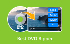 Best DVD Ripper