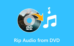 Rip Audio From DVD