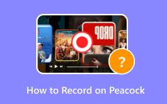 Record PS3 Gameplay