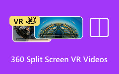 360 Split-Screen VR Videos