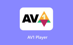 AV1 Player