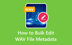 Bulk Edit WAV File Metadata