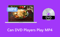 Can DVD Players Play MP4