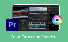 Color Correction Premiere