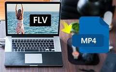 Convert FLV To MP4 Mac