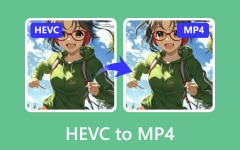 Convert AVCHD to MP4