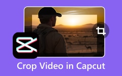 Crop Video In Capcut