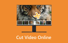 Cut Video Online