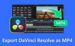 Export DaVinci Resolve as MP4