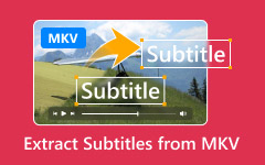 Extract Subtitles from MKV