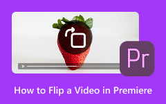 How to Flip a Video in Premiere