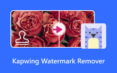 Kapwing Watermark Remover