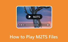 Play M2TS File