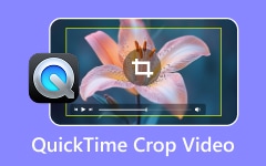 VLC Crop Video