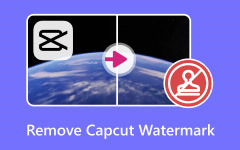 Remove CapCut Watermark