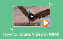 Rotate Video Windows Media Player