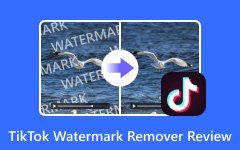 TikTok Watermark Remover Review