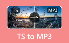 TS to MP3