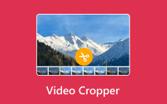 Video Cropper Review