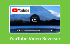 YouTube Video Reverser