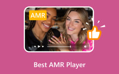 Best AMR Player