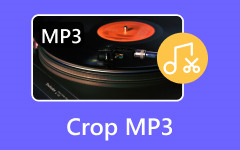 Crop MP3