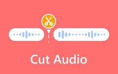 Cut Audio