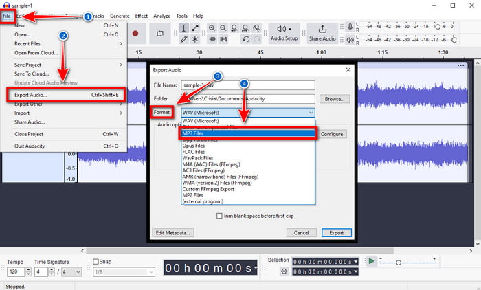 Audacity File MP3