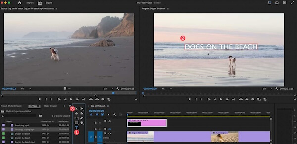 Adobe Premiere Pro