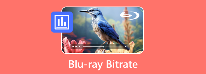 Blu Ray Bitrate