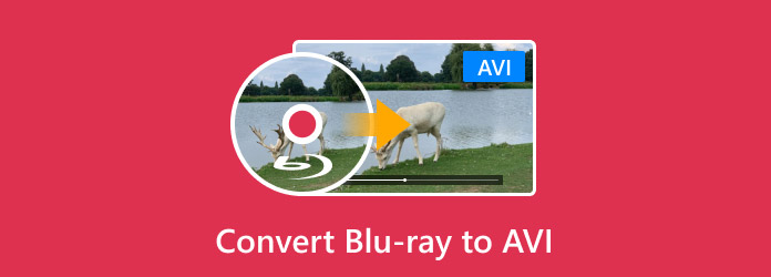 Convert Blu-ray to AVI