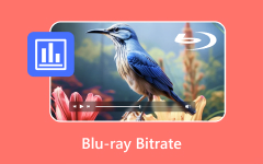 Blu Ray Bitrate