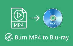 Burn MKV to Blu-ray