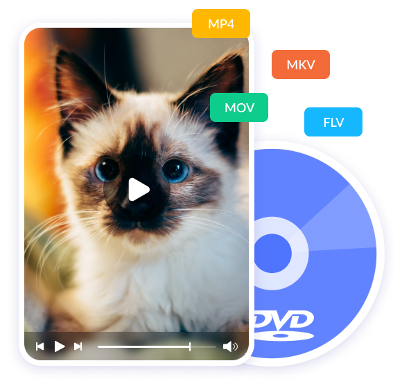 Tipard DVD Creator 5.2.88 download the new version for windows