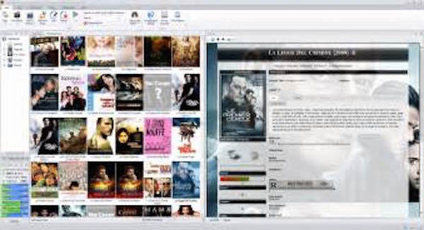 Top 6 Physical DVD Organizer and Organizer Software