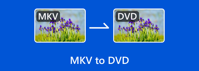 MKV to DVD