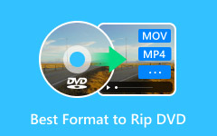 Best Format to Rip DVD