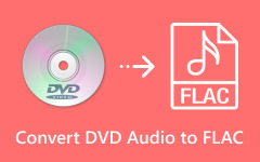 Convert DVD Audio to FLAC