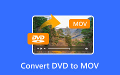 Convert DVD To MOV