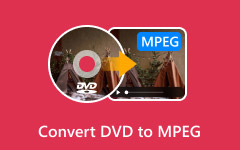 Convert DVD to Mpeg