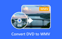 Convert DVD to WMV