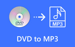 DVD to MP3