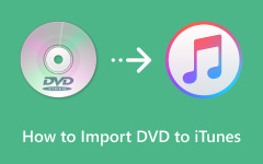 Import DVD to iTunes