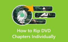 Rip DVD Chapters Individually