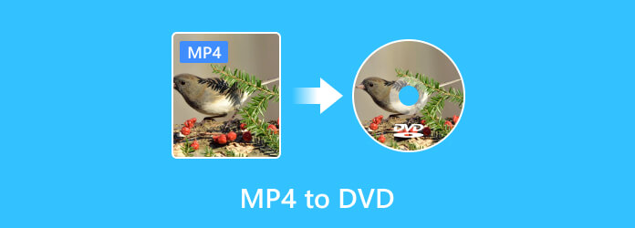 MP4 to DVD